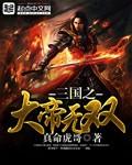三国之大帝赵云笔趣阁