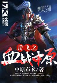 岳飞战功争议