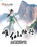 唯仙独行讲的什么