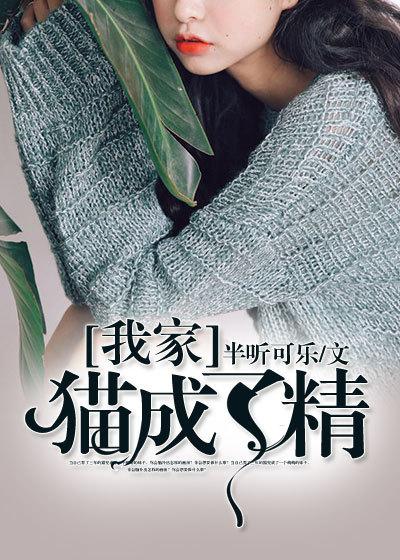 我家猫成精了后续