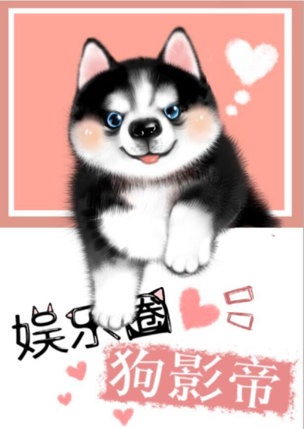 影帝娱乐圈文