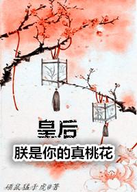 最强大脑杨易对战日本