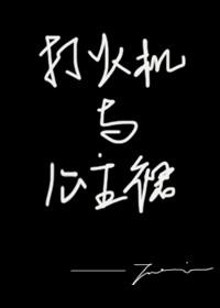 打火机与公主裙全文阅读