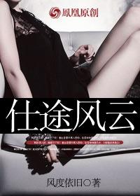 仕途风云全文免费
