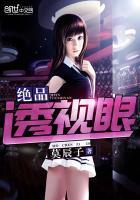 绝品透视眼赌石叶枫