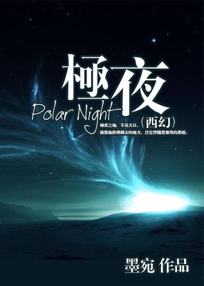 西幻极夜讲的什么