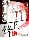 锦上京