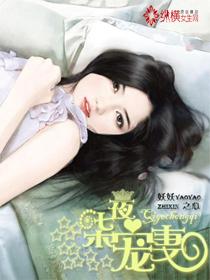 七夜宠妻如命