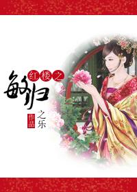 红楼之敏若春风归梦来全文免费阅读