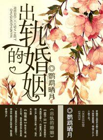 危机婚姻调解中调解员的核心策略是什么