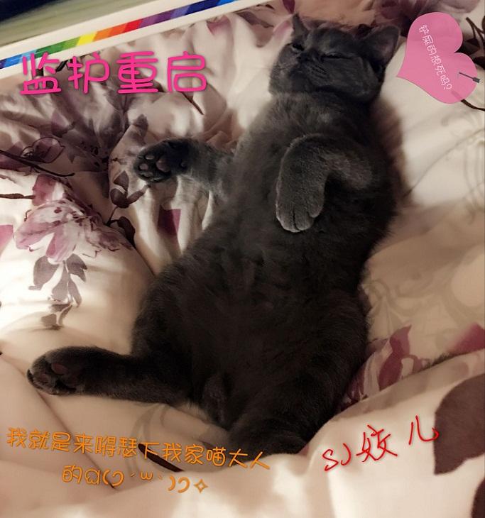 监护是啥