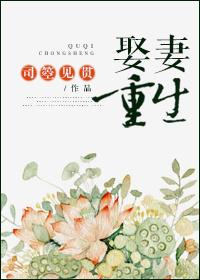 穿越重生娶妻就变强的
