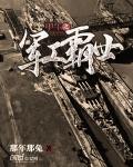 甲午之军工霸世 作者那年那兔著