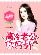闪婚甜妻高冷老公太腹黑