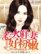 闪婚蜜妻乖乖宠