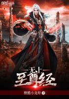 无上至尊原版