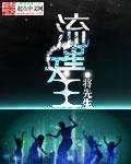 请问流星