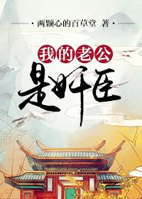 我的老公是奸臣为什么不更新了