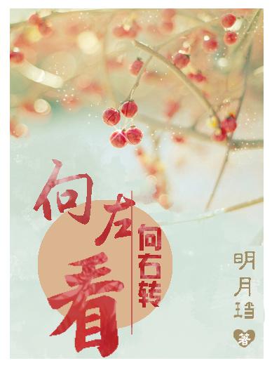 向右转明月珰讲的什么
