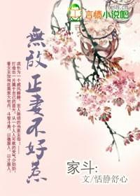 穿越无敌正妻不好惹全文阅读