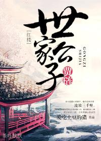 红楼之世子变贾琏