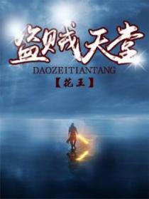 盗贼T0