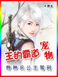 关于霸道王爷宠妻的动漫