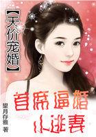 首席总裁的逃妻完整版