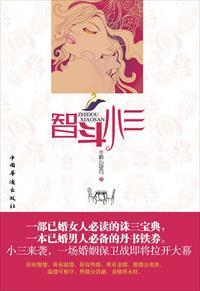 智斗小三的或故事