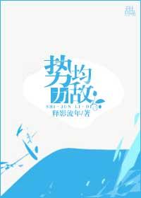 势均力敌 简介