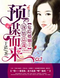 危险婚姻全文在线阅读