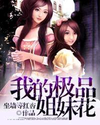 我的极品姐妹花夏洛