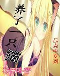 养了一只猫就停不下了