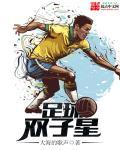 足球双子星胜利动作