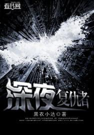 复仇者 夜间任务