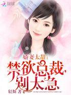 禁欲总裁太缠人