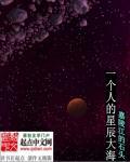 一个星辰大海多少钱人民币