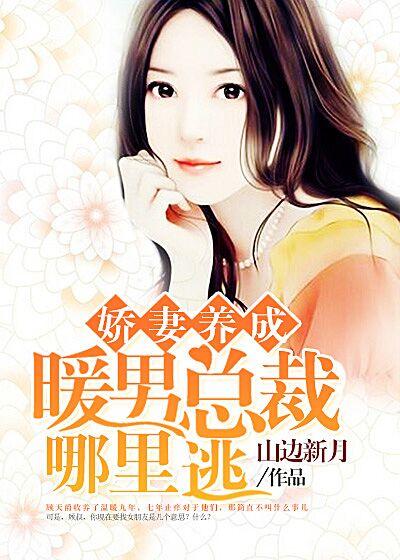 暖男宠妻