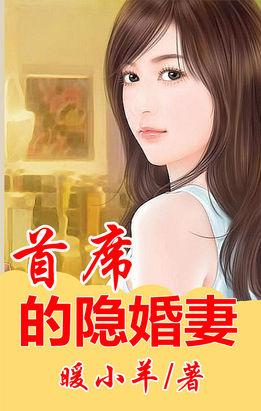 首席大人的隐婚罪妻全文免费阅读