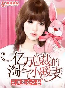 亿万总裁的淘气小暖妻免费