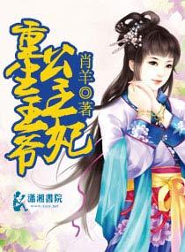 重生王爷公主妃子