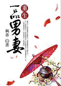 穿越一品男妻修仙文