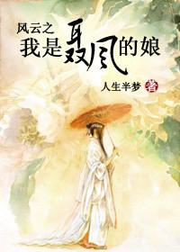 重生风云之聂风