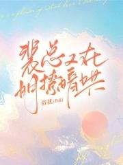 裴总又在偷偷宠