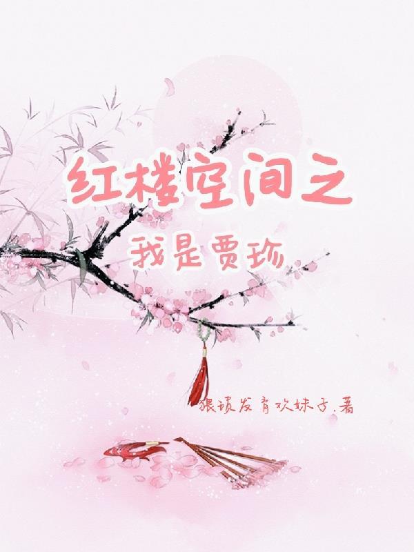 带着空间穿红楼梦