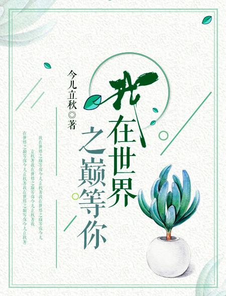 我在世界之巅等你电视
