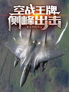 空军王牌飞行员