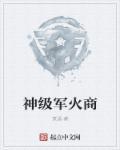 超级军火商系统r