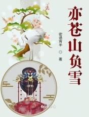 苍山负雪的翻译