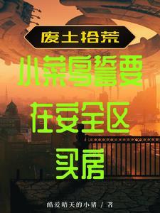 废土拾荒新手教程